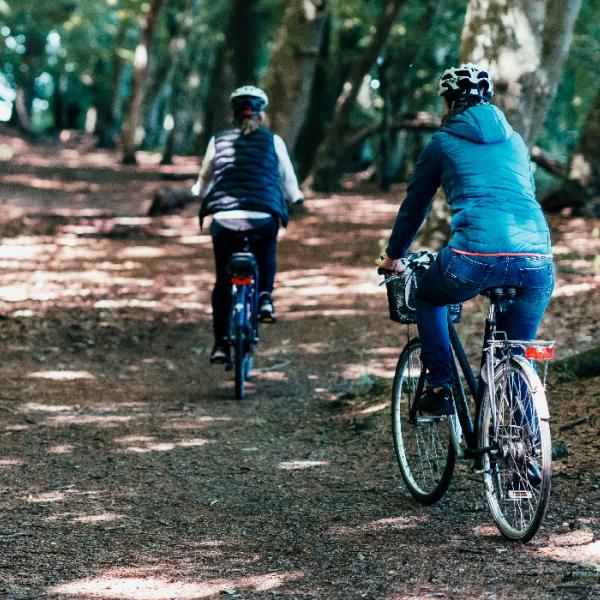 Cykel-i-skoven-NaturparkLillebælt-Kolding