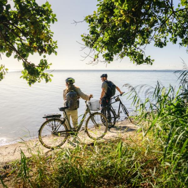 Fredericia cykler sommer