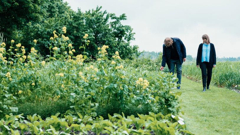 HistoryClture-Mark-Haven-Billund-DestinationTrekantomraadet